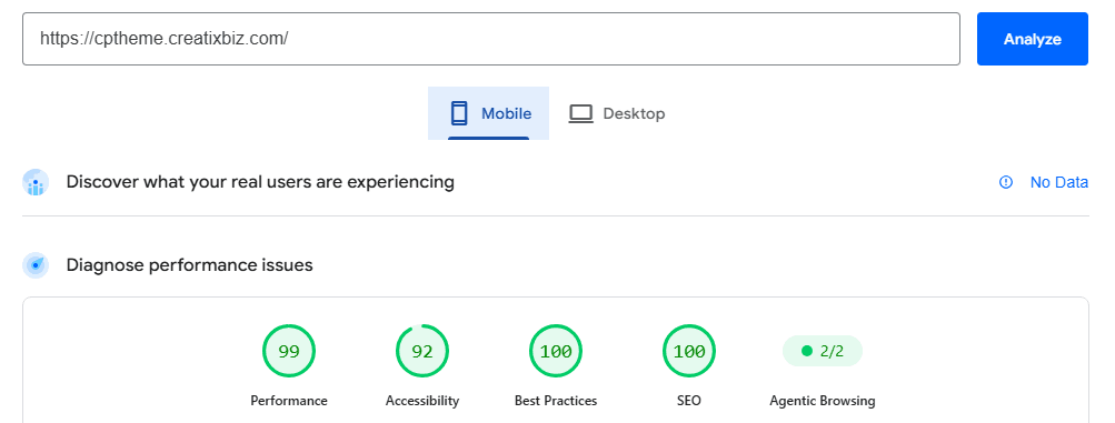PageSpeed Insights mobile results for the real estate theme demo, with a 100 SEO score